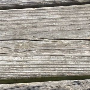 Meet your Posher, Troy